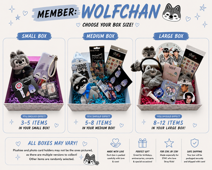 Stray Kids Bias Mystery Boxes