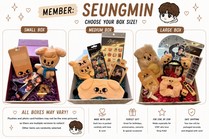 Stray Kids Bias Mystery Boxes