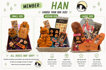 Stray Kids Bias Mystery Boxes