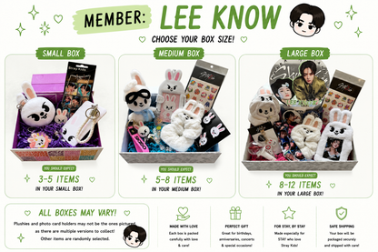 Stray Kids Bias Mystery Boxes