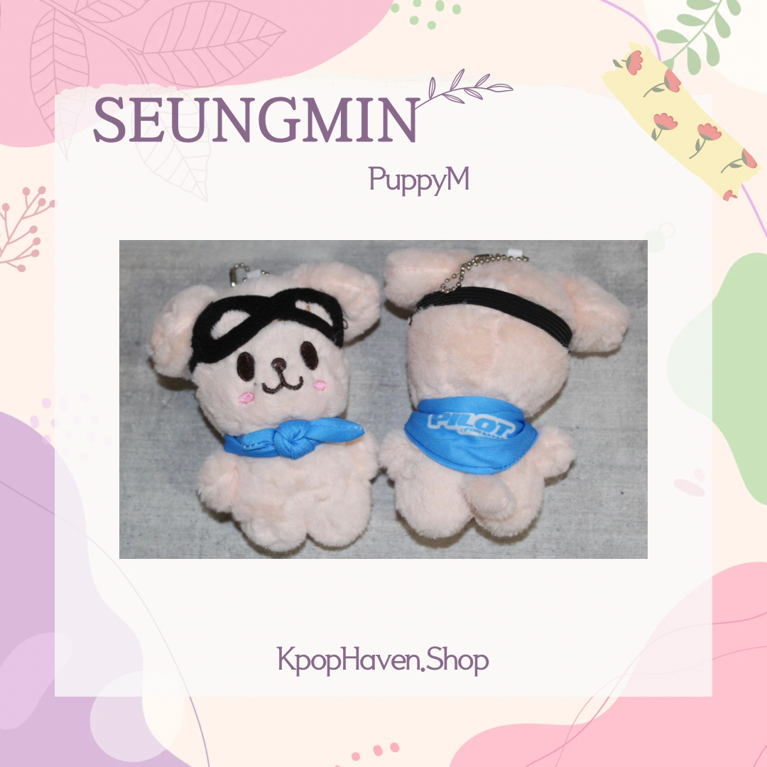 Stray Kids SKZOO Pilot Plushy Keychain